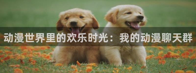 天堂动漫入口：动漫世界里的欢乐时光：我的动漫聊天群