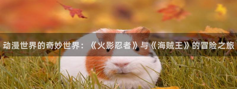天堂动漫官网：动漫世界的奇妙世界：《火影忍者》与《海贼王》的冒险之旅