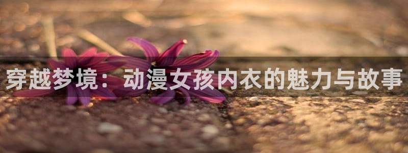 天堂动漫官方官网：穿越梦境：动漫女孩内衣的魅力与故事